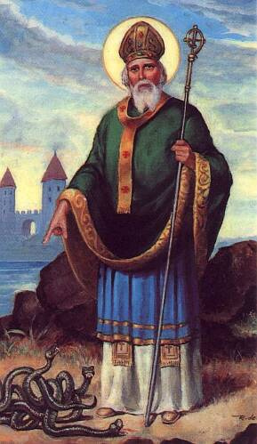Those snakes are fictional. There never were snakes in Ireland.