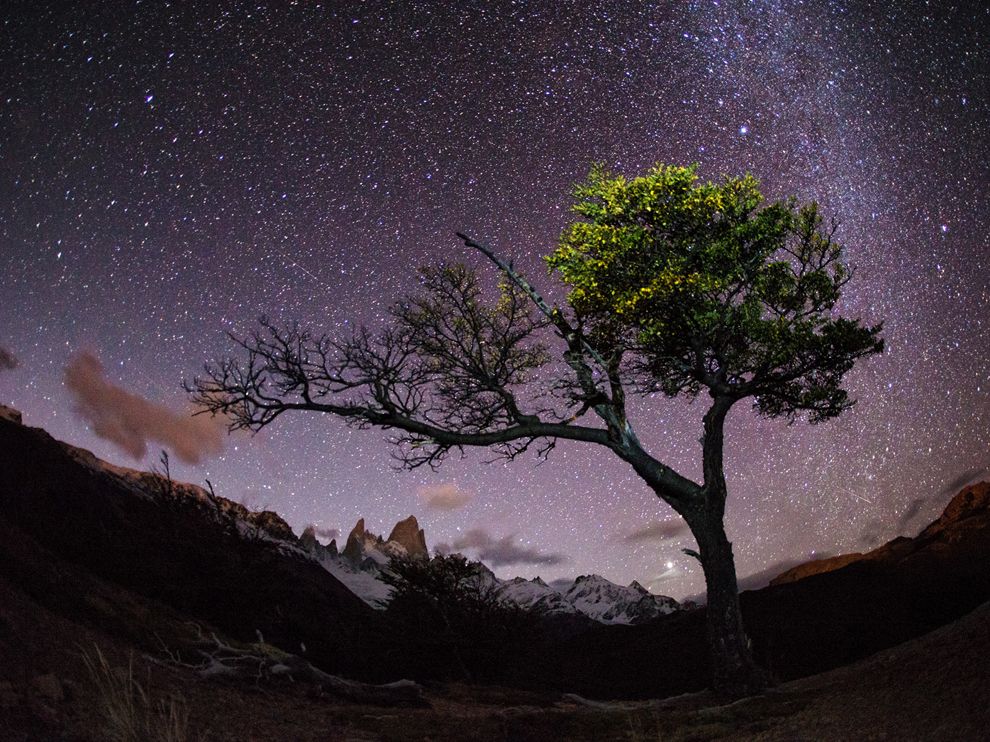 tree-stars-patagonia_68271_990x742