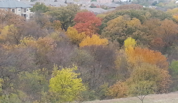 Fine Arts Friday: Autumn Walk
