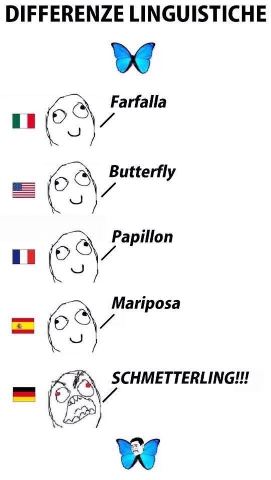 butterfly language