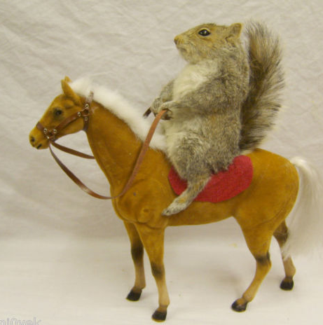 squirrel on a horse