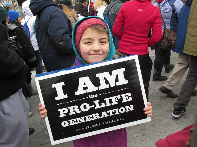 The pro-life movement and camp followers*