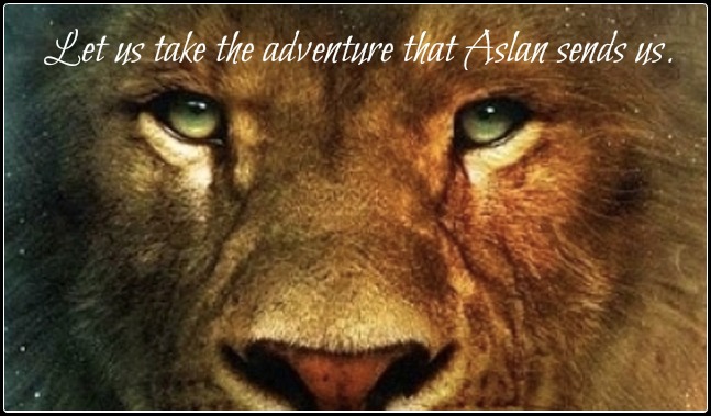 The new adventure