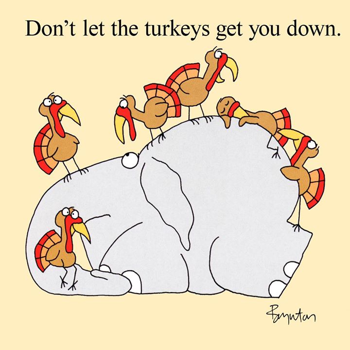 turkeys get you down