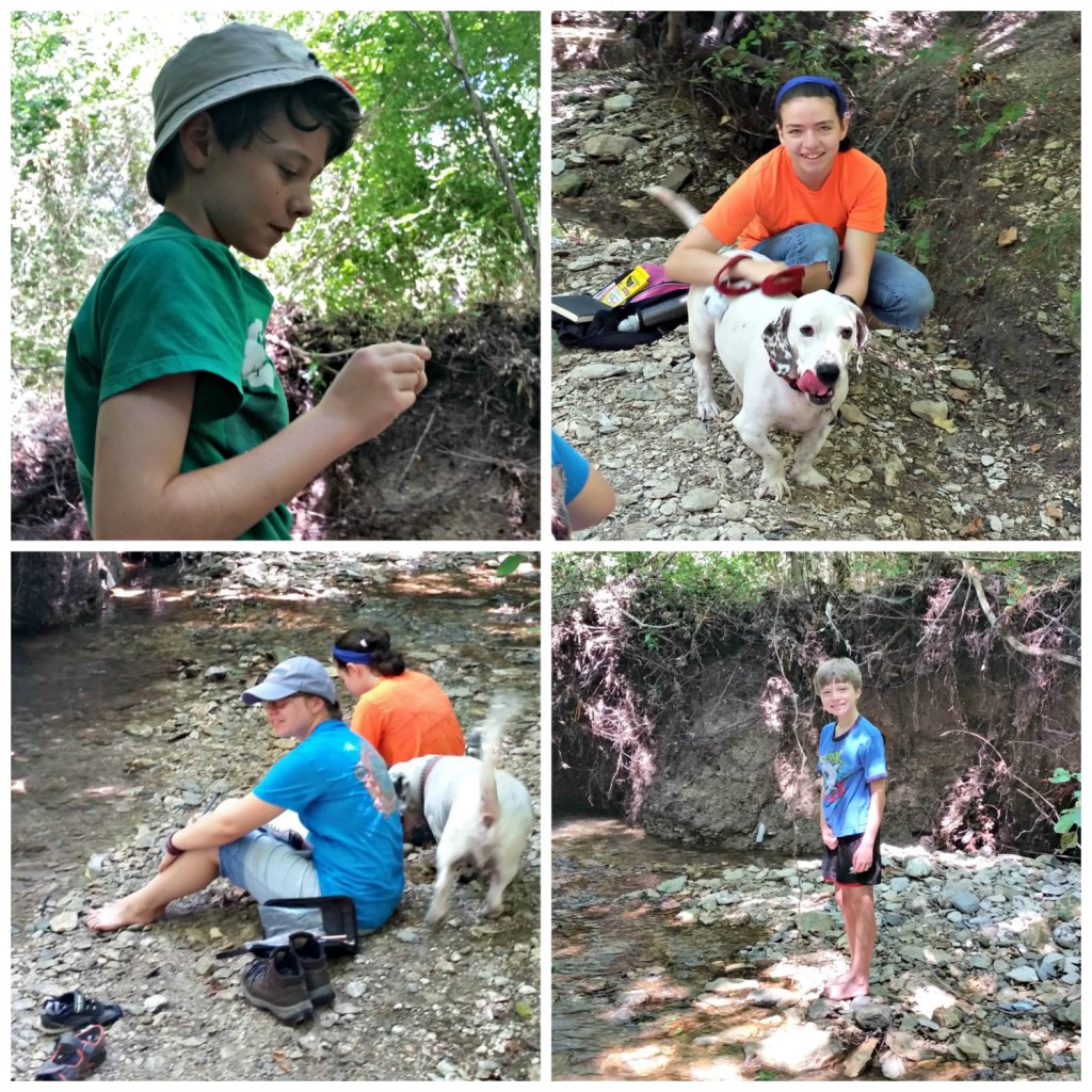 AHNP jul24 Collage2