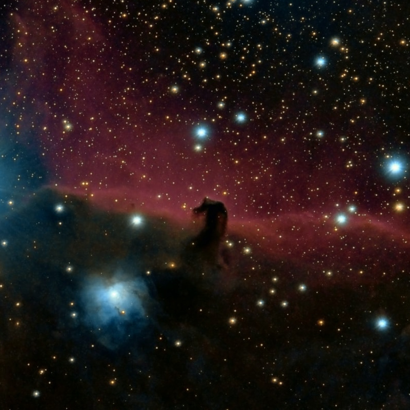 The Horsehead Nebula, Unsplash photo by Guillermo Ferla